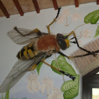 cover Museo del fiore